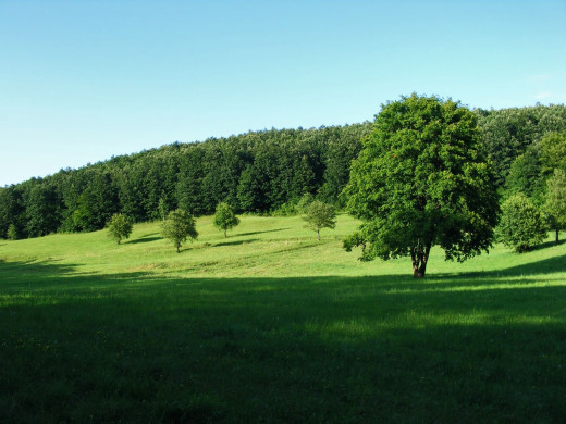 45682 (a): :1600x1200